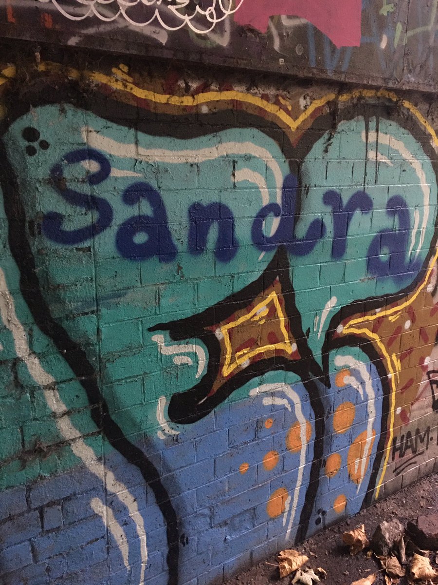 DorisDayRobbins's tweet image. This was a test of my unconscious bias. I’m finding it hard to believe in a street artist with the tag, Sandra.#FallowfieldLoop #graffiti #StreetSrt