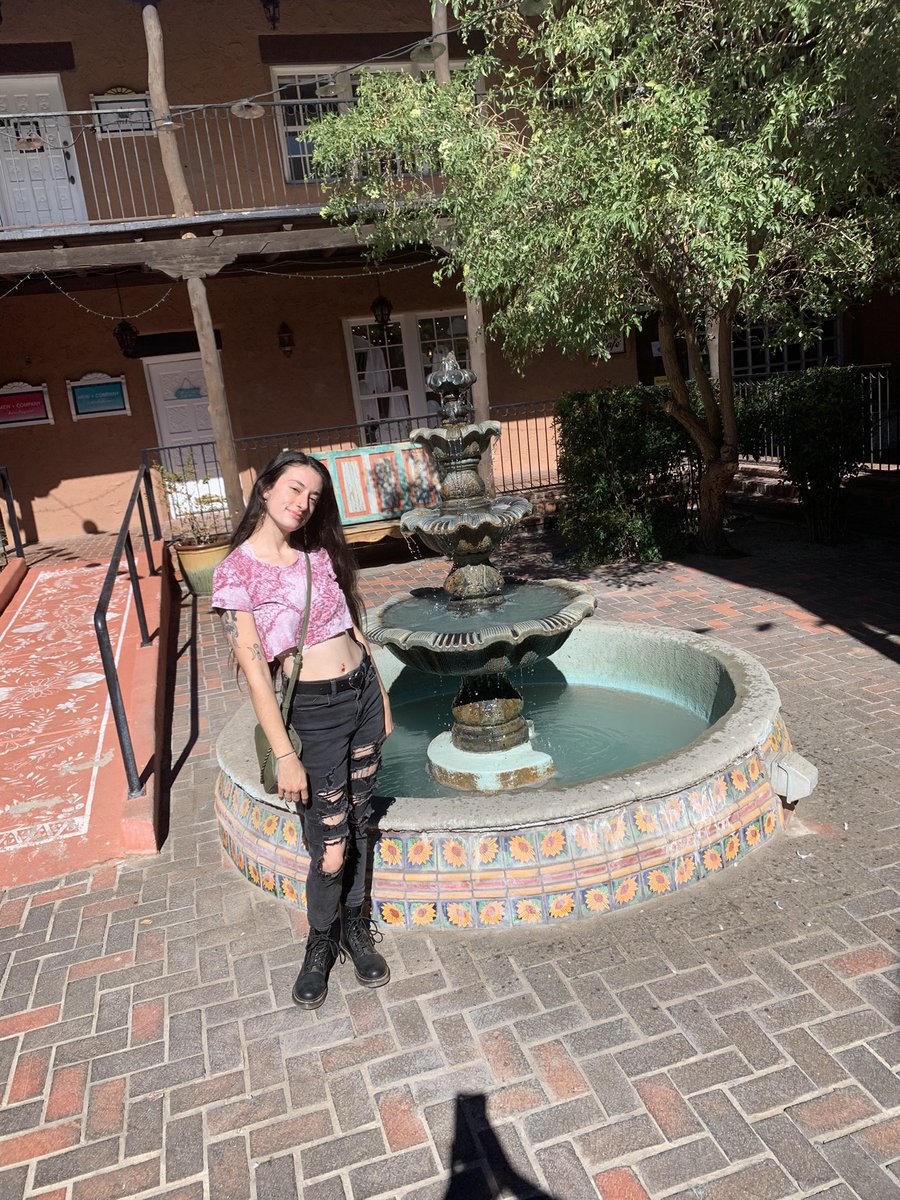 aloexvero's tweet photo. sunflower🌻 https://t.co/og94T82eq3
