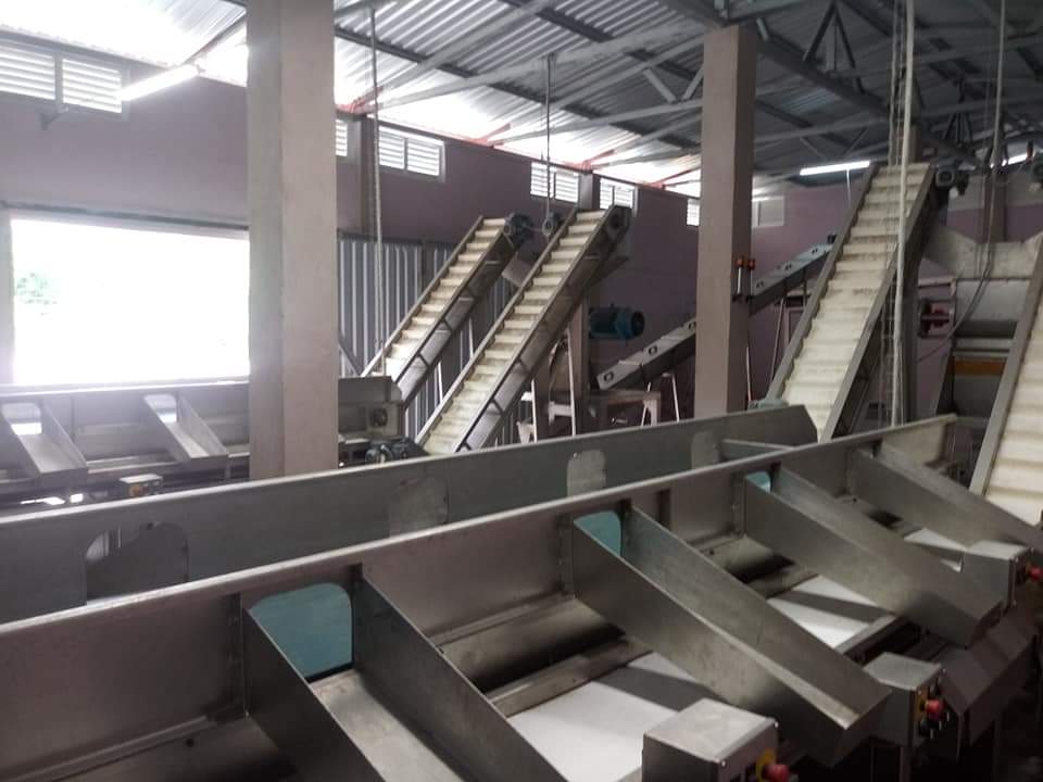 Citmagtm's tweet photo. El #ViceprimerMinistro cubano @LuisTFonseca  acompañado del #MinistroDeLaAgricultura @YdaelB, visita la Planta #Extractora de #AceiteDeCoco en #Baracoa, industria que recibió una renovación #tecnológica.
 @ElbaRosaPM
@PresidenciaCuba  @ArmandoRguezB  @cruz_dayamy https://t.co/89hjcZWNr4