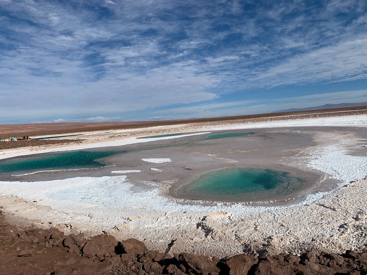 MayrAlejandraBo's tweet photo. Lagunas de Baltimachi 📍❤️ 
Tienes que caminar y caminar en un lindo sendero para verlas todas. #sanpedrodeatacama 🇨🇱 y solo se puede bañar en 2 porque el resto están protegidas! #nortedechile https://t.co/6w1gdHEQKu