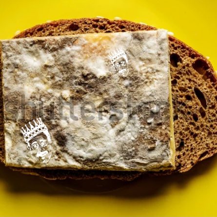 Jimmys Johns might have bleu cheese but I’ve always had blue AND green cheese. BEAT THAT HA !!