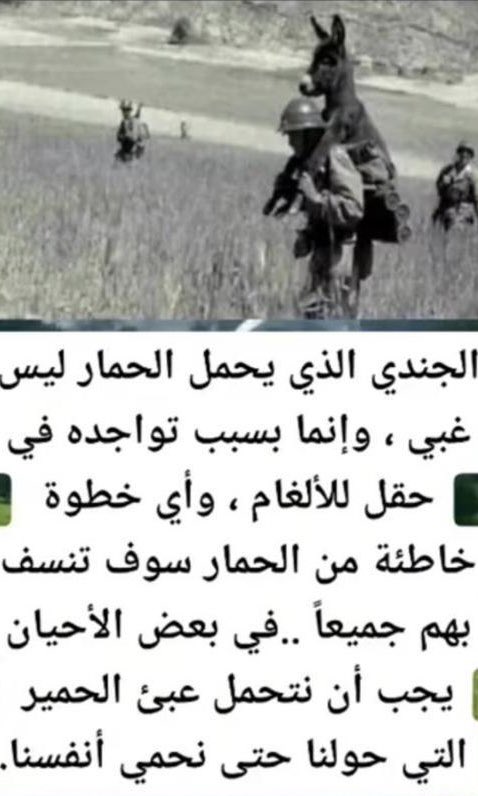 د. علي فتوني (@aliftou21030969) on Twitter photo 