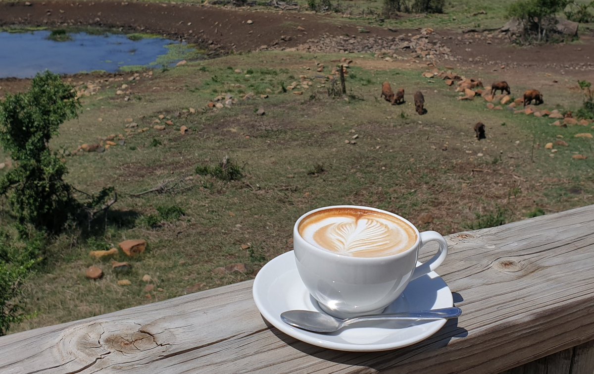 NambitiPlains's tweet photo. We have found the best views to celebrate World Cappuccino Day... #onlyatnambitiplains
#CappuccinoDay #Coffee #coffeewithaview #CoffeeLover #bestview #wildlife #watchinganimals #warthog #cappuccino #safari #viewfromthedeck #experience #wishyouwerehere #nambitiplains #nambiti https://t.co/3D7aRabqOg