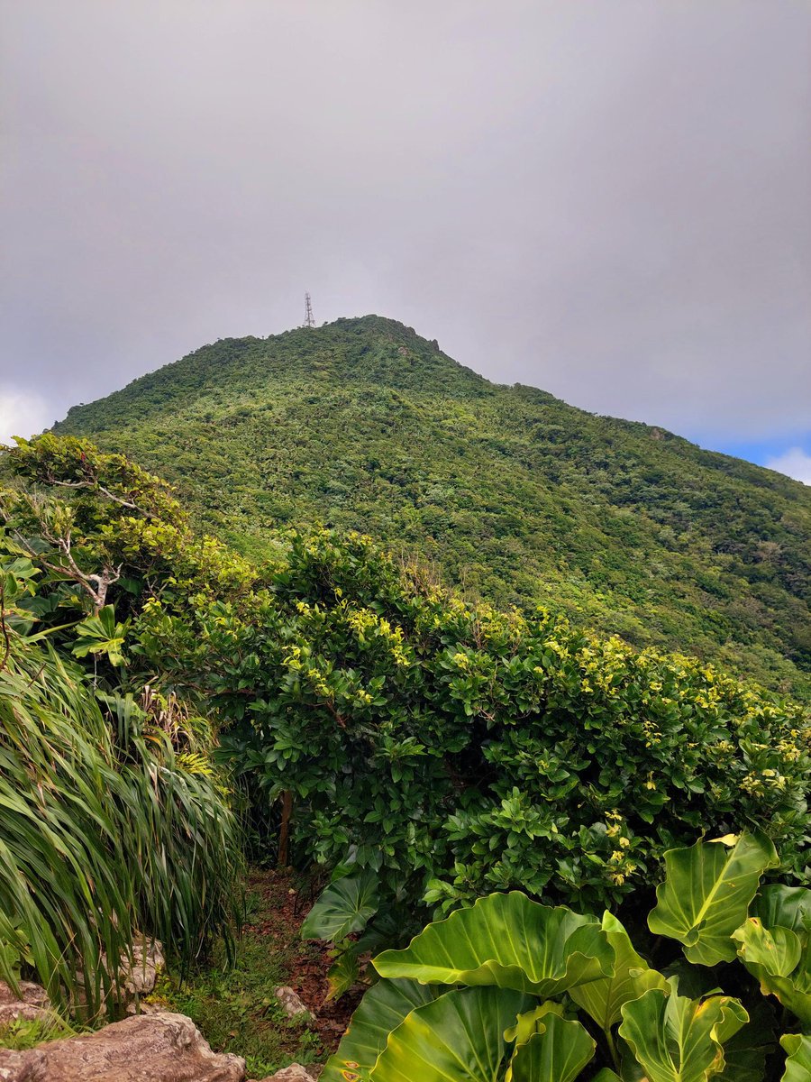 Saba Tourism tweet media