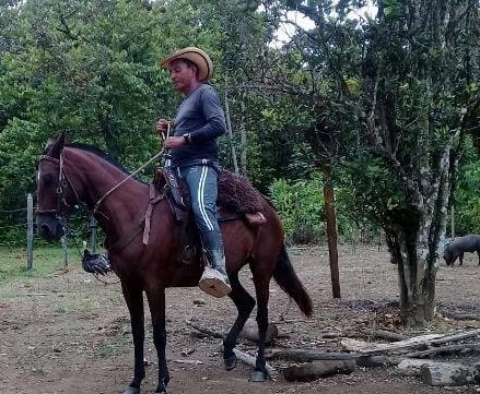 carolltejada's tweet photo. 🚨 Triste noticia para el campesinado. Asesinaron al líder Alberto Ramos, fundador de @ascsucor_org y presidente de la JAC de la vereda San Antonio de Montelievano, en el Sur de Córdoba. ¿Hasta cuando la guerra contra nuestras comunidades @IvanDuque?😔 #LasVidasCampesinasImportan https://t.co/LteFEtw3lb
