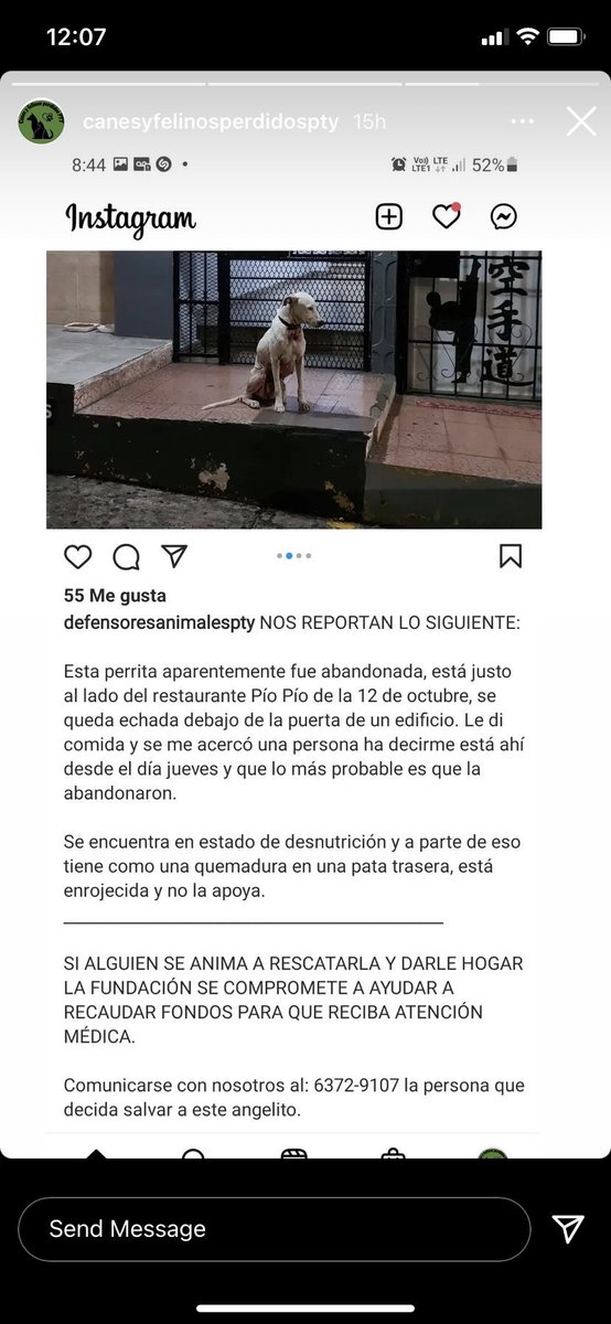 Ivette Berrio tweet media