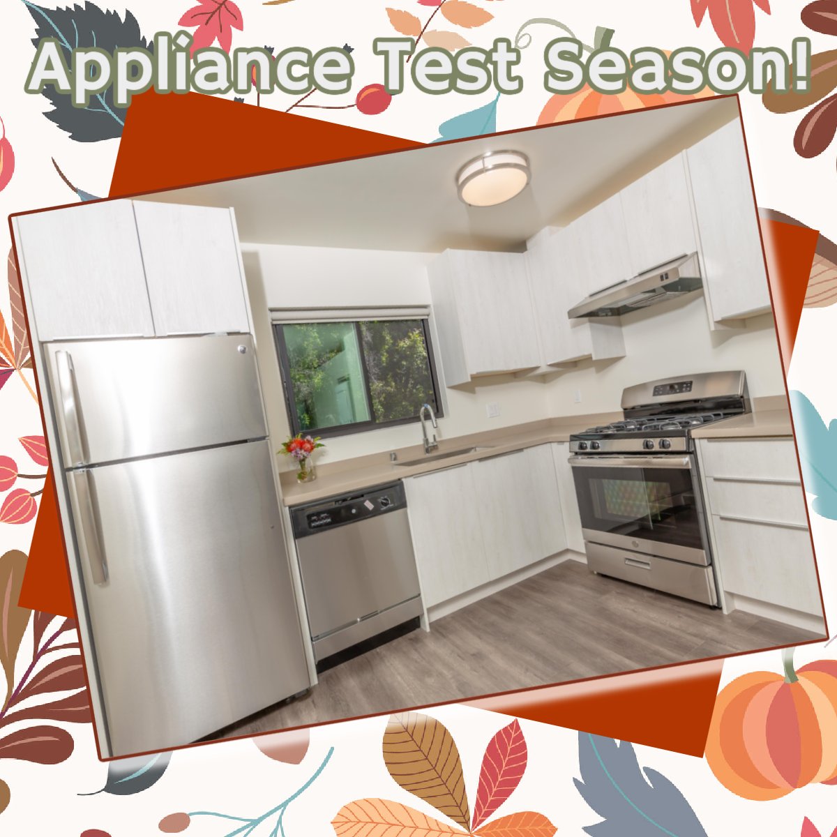 SkyProps's tweet photo. Each year we ask our tenants to test their #appliances BEFORE #Thanksgiving —even if it's brand new. It is the hardest day to get a technician and no one wants to be left without a #turkey or #pie.  🥧
 #skyproperties  #tipoftheday https://t.co/WVV8FLeTGj