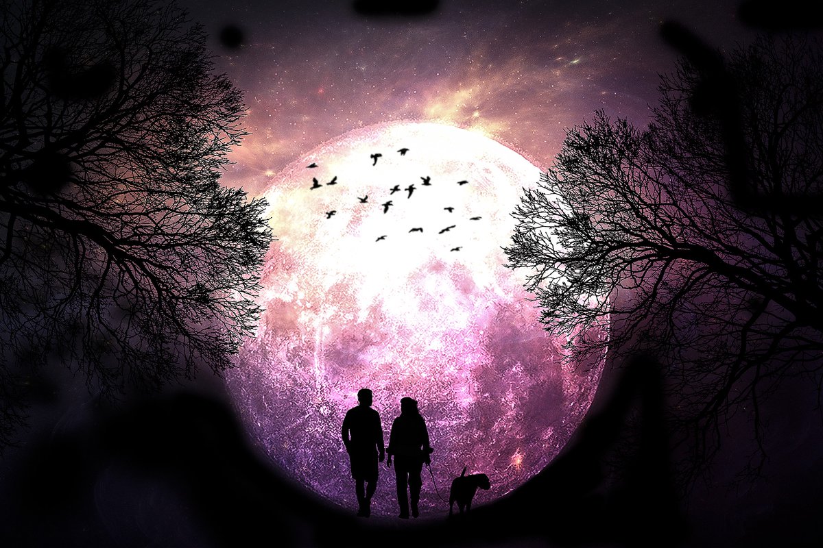 Pick one and write a #ttrpg plot hook... GO!