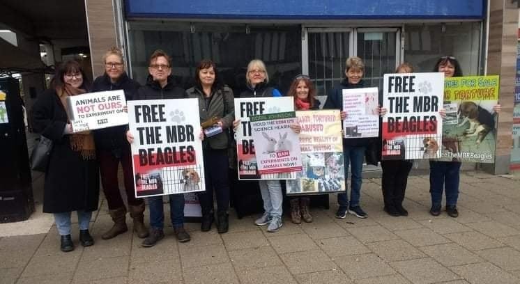 FrancesOfficial's tweet photo. Saturday's free the MBR Beagles outreach in Witham, hundreds of leaflets given out and lots of support from the locals. Next Essex outreach Colchester 13 Nov 12pm outside Lush
#freethembrbeagles #campbeagle #itsviolencenotscience #MBRpuppykillers https://t.co/IvckQJSbAh