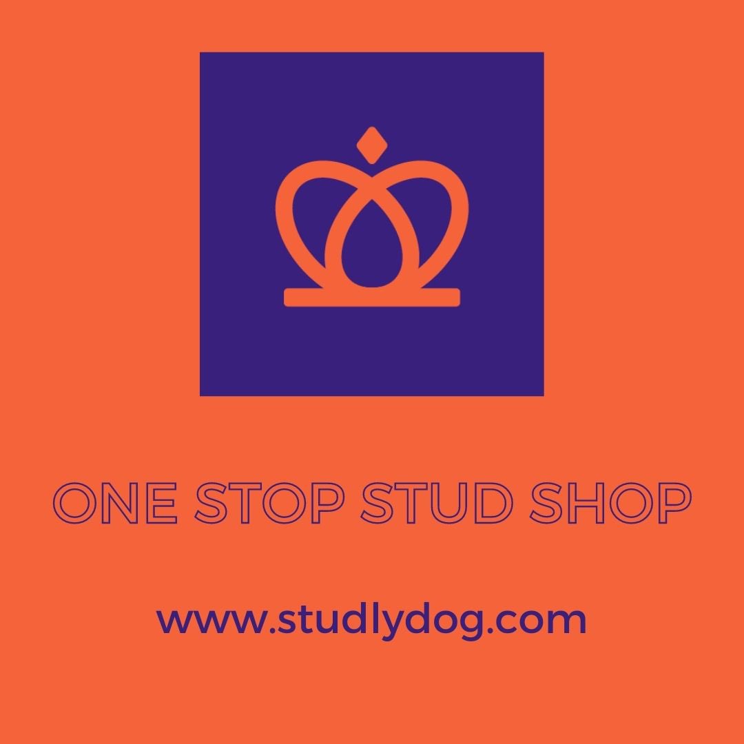Happy Monday!  We are almost open for business!  So close!!  
#studlydog #onestopstudshop #dogbreeder #dogbreeders #studdog #almostopen