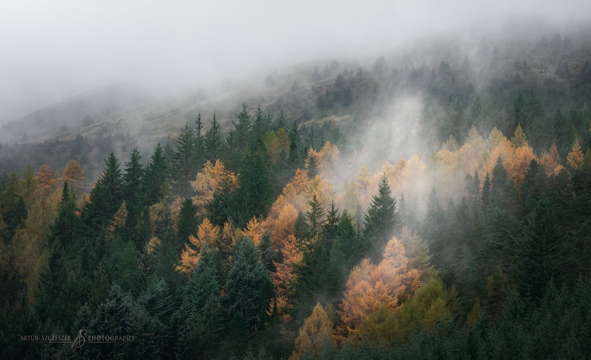 #Autumn  in #Scotland #WexMondays #fsprintmonday  #appicoftheweek #ThePhotoHour <a href="/OPOTY/">Outdoor Photography</a> <a href="/AP_Magazine/">Amateur Photographer</a> #Benro #landscapephotography #trees  #mist #Nikon