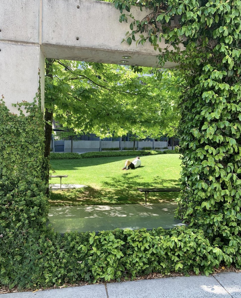 sofranksocial's tweet photo. Green, luscious frames make everything seem picture perfect.  Thanks to @canberraculture for sharing this image of Barton with #sofranksocial

#Wearecbr #VisitCanberra #CanberraSpring #igerscanberra https://t.co/B8BbS4OIwH