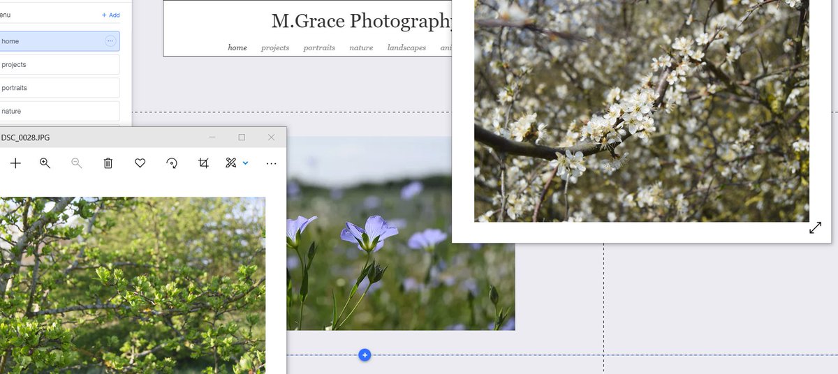 MollyG_Photo's tweet photo. Working on my website, almost finished! https://t.co/7g2mfD3Yxp