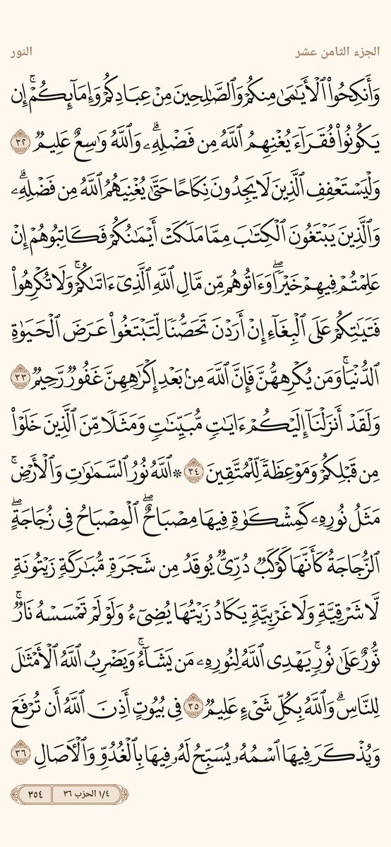 AlMosahf's tweet photo. ورد الثلاثاء https://t.co/4kdqxb3B40