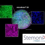 Photo by StemoniX (acquired by AxoSim) (@StemoniX)