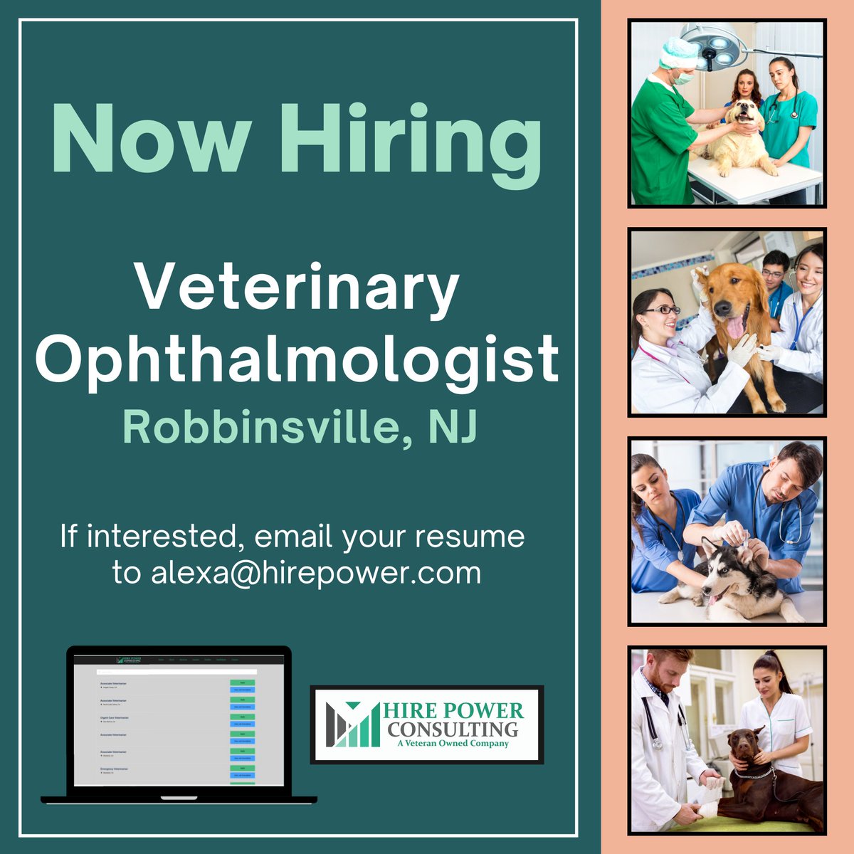 TeamHirePower's tweet photo. Hire Power Consulting has a great opportunity for a #veterinary ophthalmologist in Robbinsville, NJ.

Visit https://t.co/6mgauvXgTn to apply.

#hirepower #hirepowerjobs #veterinarymedicine #vetjobs https://t.co/rAX95fXGtG