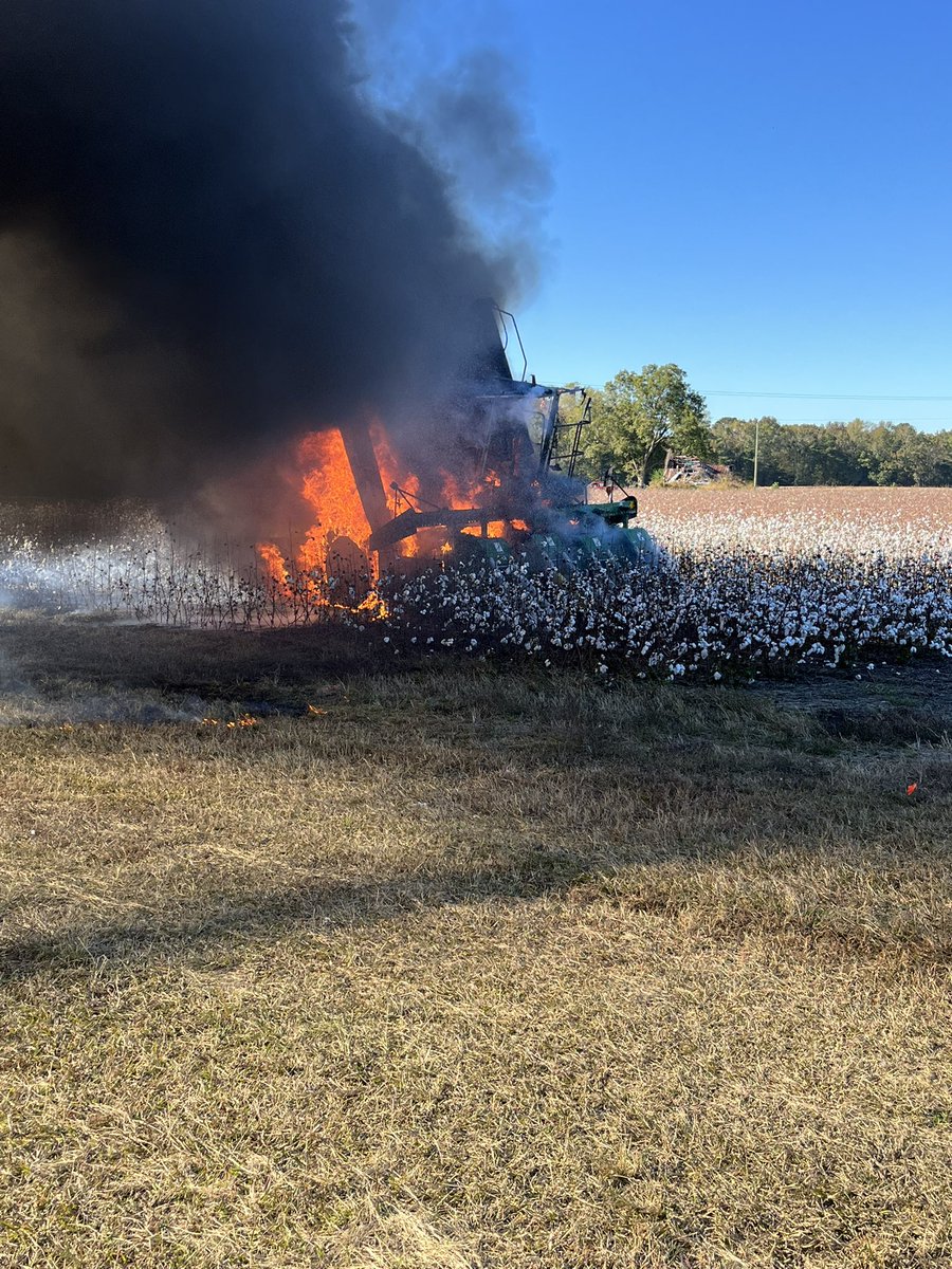 Hank Tice tweet media