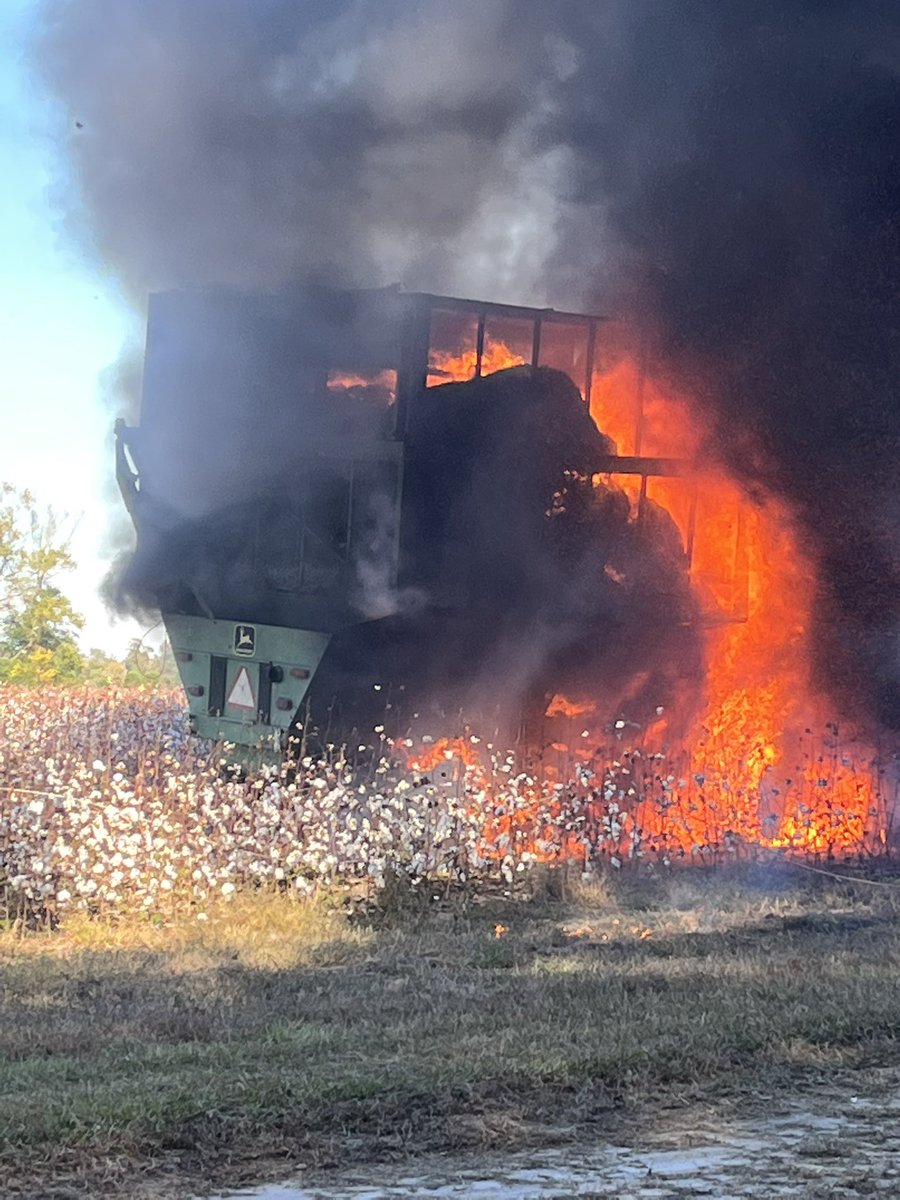 Hank Tice tweet media