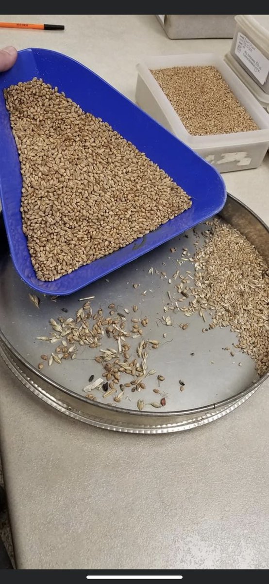 Booking up fast for cleaning , get your name on the list to take advantage of this great fall weather!