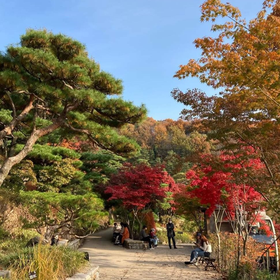 거두려면
먼저 뿌려야 한다

인간관계의 기본은
상대에게 이익을
주는것이다

콩심은데 콩나고
팥심은데 팥나는
자연의 이치다.