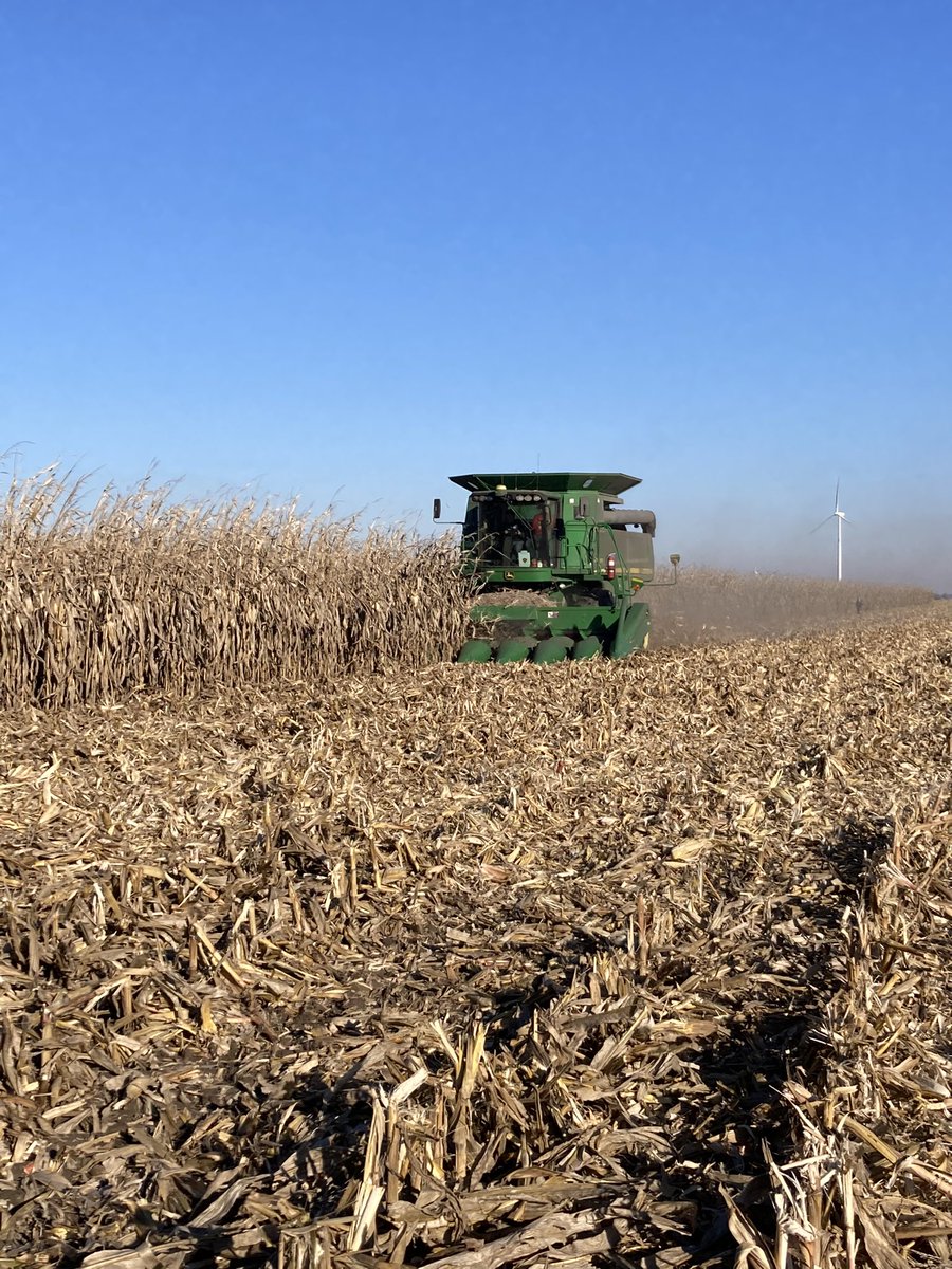 Ross Schroeder tweet media