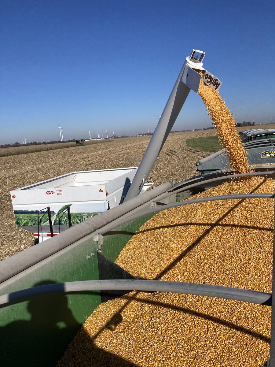 Thanks to Pond Seed Company for putting out a great AgriGold plot!!! Perfect fall day for it and some very high yielding corn! @agold_mitchG