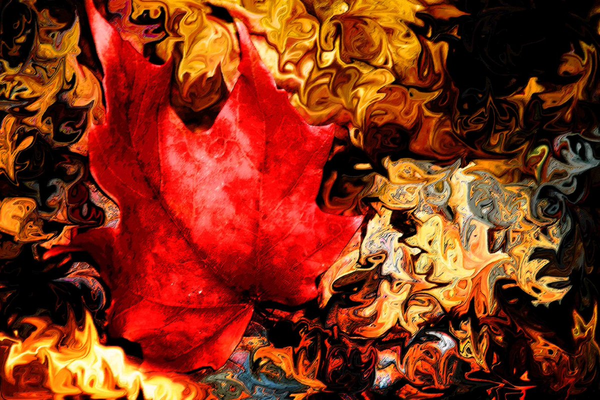 SimoneHesterArt's tweet photo. Love this one here!!!!!
“Bullseye” is a creatively edited photograph.
This piece prints fabulously on traditional paper, but it’s amazing on metallic paper or canvas.
#autumn #fall #mapleleaf #redmapleleaves #colorsoffall #simonehesterart #fineartphotography #fineart #art https://t.co/vNzrX0qDf1