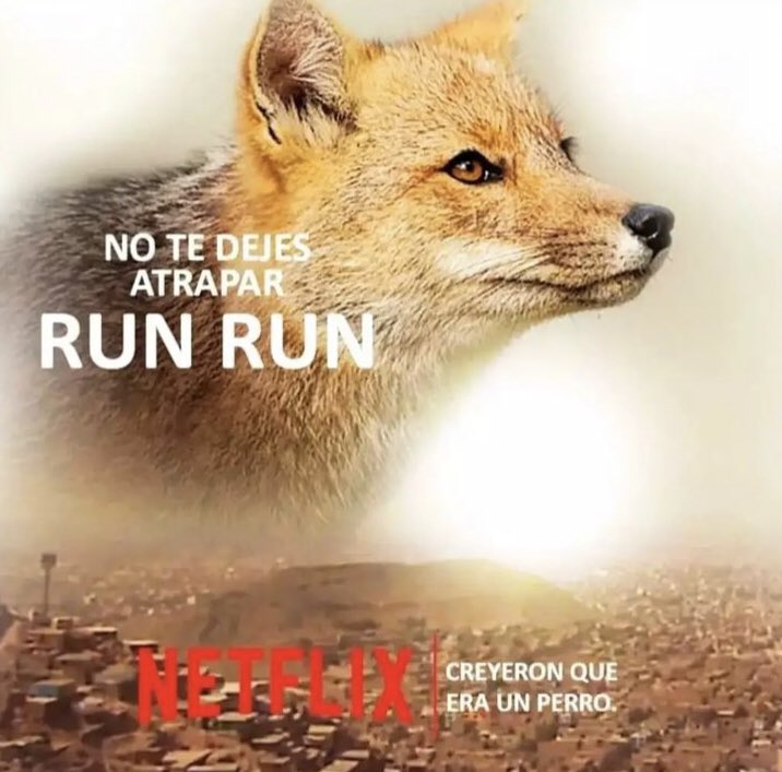 YurbyRisco's tweet photo. Ya disponible... #rumrum run run #RunRun https://t.co/XuZGx48Eea