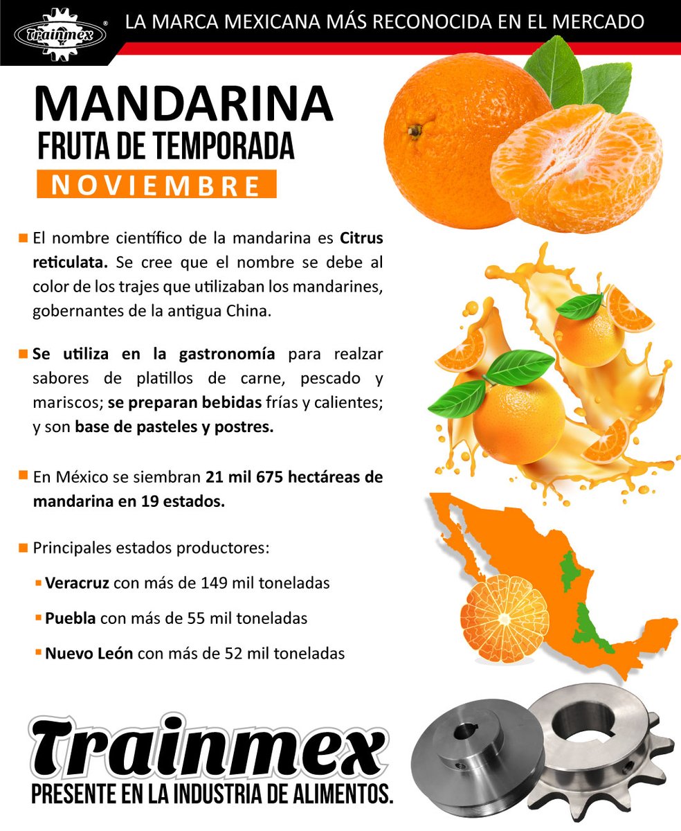 TrainmexMX's tweet photo. Te compartimos estos datos interesantes de la #mandarina, una fruta de temporada en el mes de #Noviembre. 🍊😋
¡#Trainmex presente en la Industria de Alimentos! Para que la producción jamás se detenga. ⚙👍
#SomosTrainmex https://t.co/SeRVDz04GJ