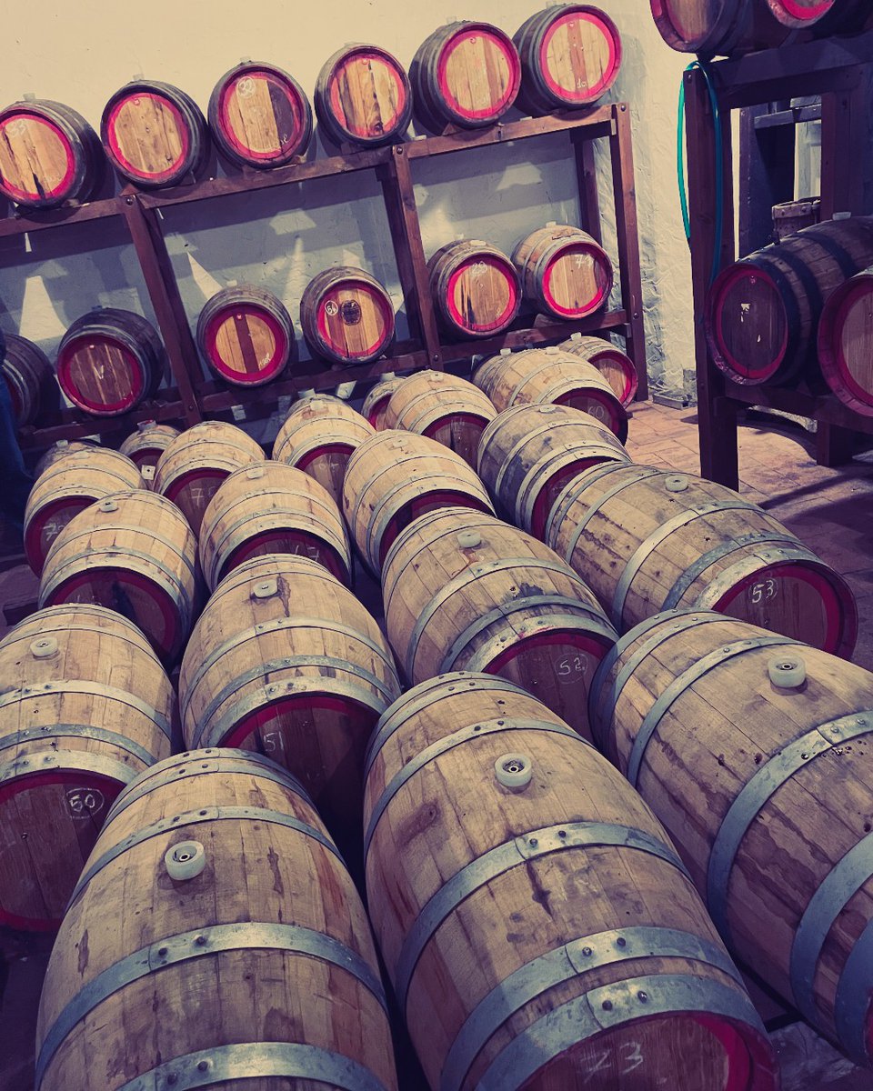 LastBottleWines's tweet photo. Can we take them all home with us please? @i.veroni
#lastbottle #lastbottlewines #lastbottlewines #wine #wines #winelover #winetime #winelove #winestagram #instawine #wineo #winenot #iveroni #Chianti #Rufina #Sangiovese #winecellar #cellargeek https://t.co/1Fjkl2HaSd