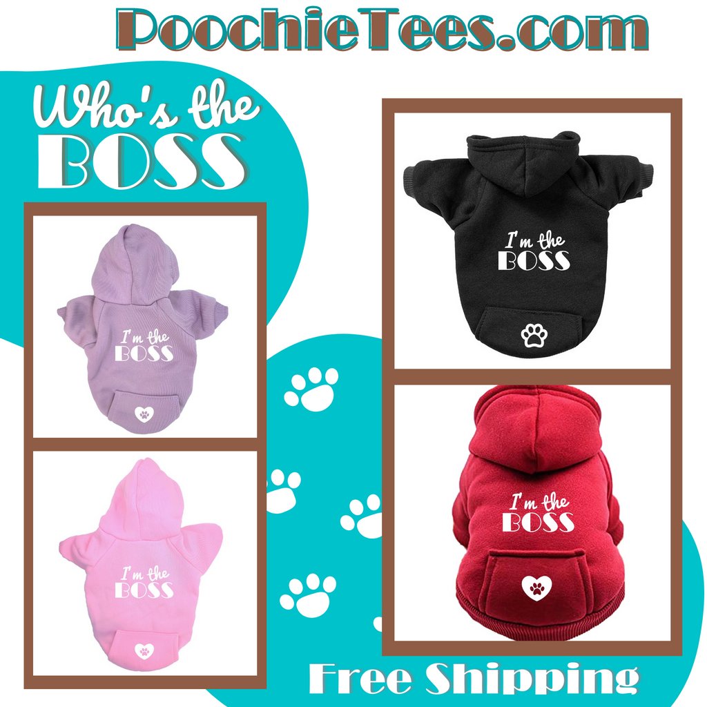 PoochieTees's tweet photo. Check out the new design at #PoochieTees.com 🐾

#petfashion #petapparel #dogclothing #petclothes #dogfashion #dogwear #doggifts #doghoodies #dogoutfit  #dogaccessories
#chihuahuas #chihuahualife #chihuahua
#yorkie #catlover #catlovers 
#dog #dogs #puppies #pup #doglover
#pets https://t.co/8zByDnxx8o