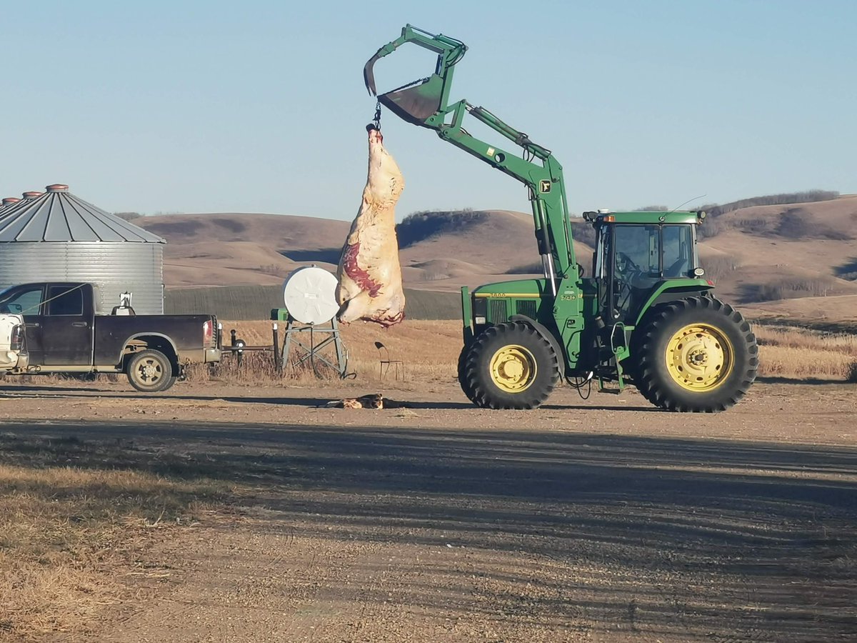 HorseShoeHillby's tweet photo. How do you like me now you corral smashin’, fence bustin’, neighborhood terrorizin’ sumbitch. #eatbeef #beefitswhatsfordinner https://t.co/VBXTlcm6G1