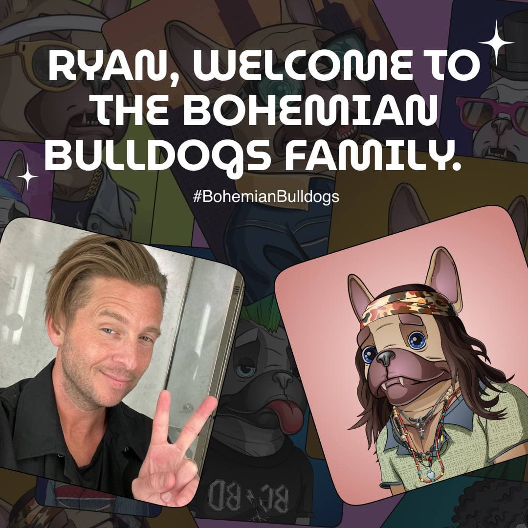 BohemianDogs's tweet photo. Do you trust @RyanTedder choice? Because he chose the #BohemianBulldogs!

#BBDnft #NFTCommunity #BBarmy https://t.co/0Mofz25M2U