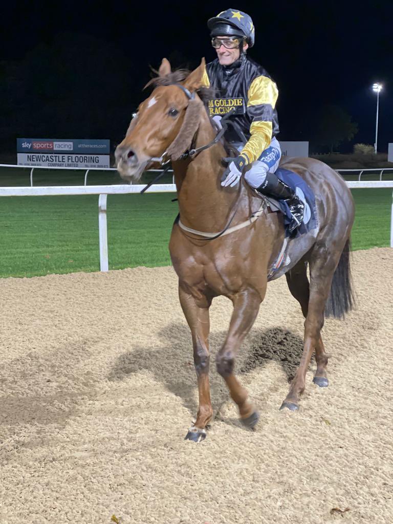 JimGoldieRacing's tweet photo. Our home bred Oriental Lilly won her 10th race(6th course) @NewcastleRaces this evening under a cracking ride from @PMulrennan for @JDeltaRacing ! #queenofnewcastle https://t.co/x15ksLaUja