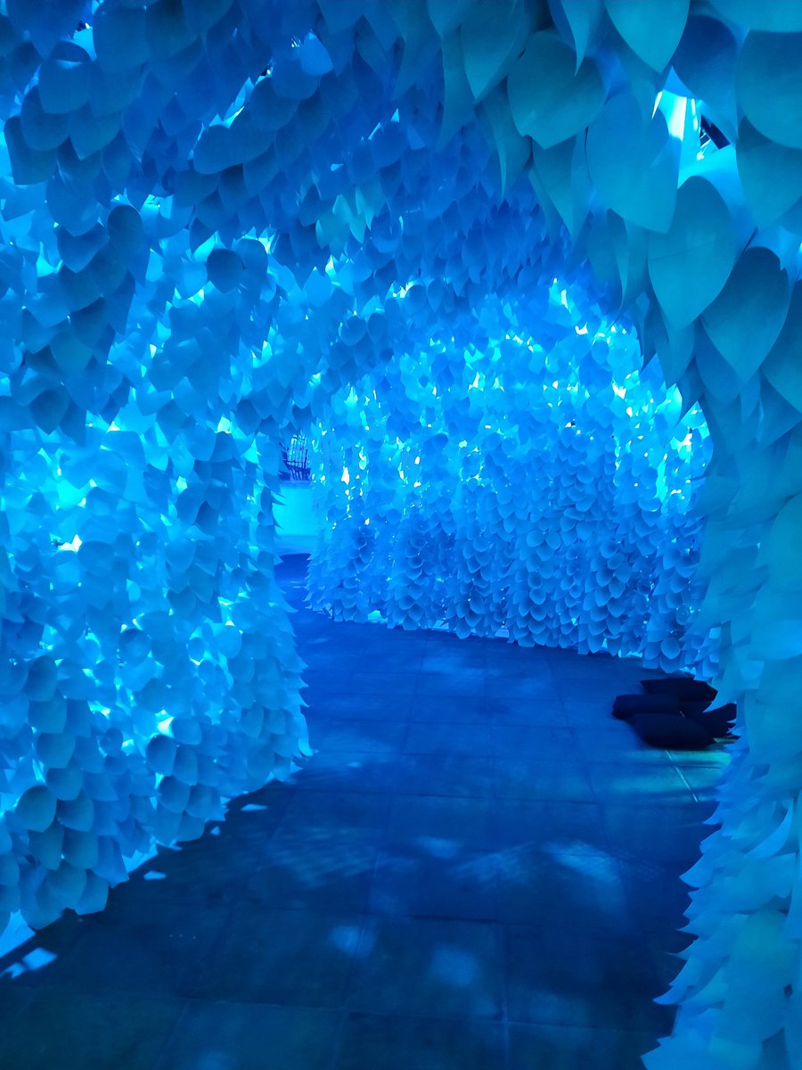 What an amazing art installation! Breathing Room <a href="/GlosBlackfriars/">Blackfriars Priory</a>. Follow <a href="/GlosBright/">Bright Nights Gloucester</a> for more of the pop-up light installations in/coming to #Gloucester #Art #BrightNights