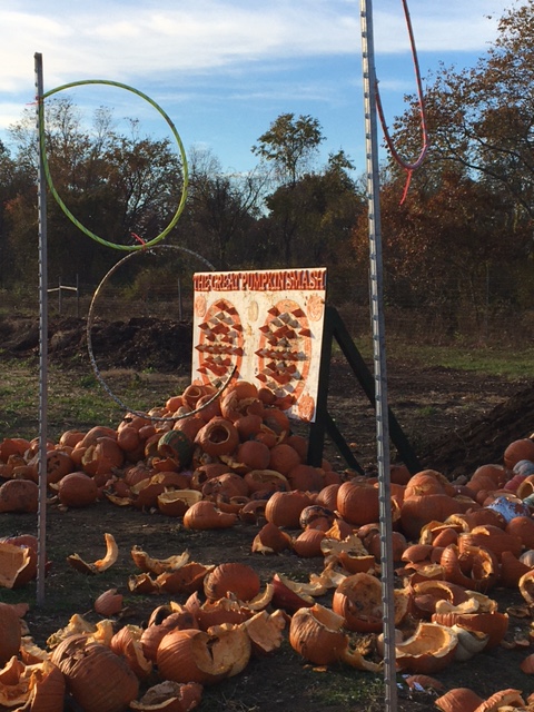 Green Beverly tweet media