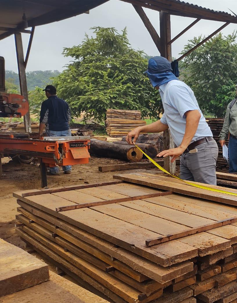 inabguatemala's tweet photo. En Petén acompañamos en el análisis del estudio de rendimiento de la especie Pucté, en la empresa #FORESCOM de San Benito. El análisis busca dotar a la empresa de datos cuantitativos sobre la transformación de madera en rollo o troza a madera acerrada.
#RegionVIII https://t.co/jZA2AoMgr0