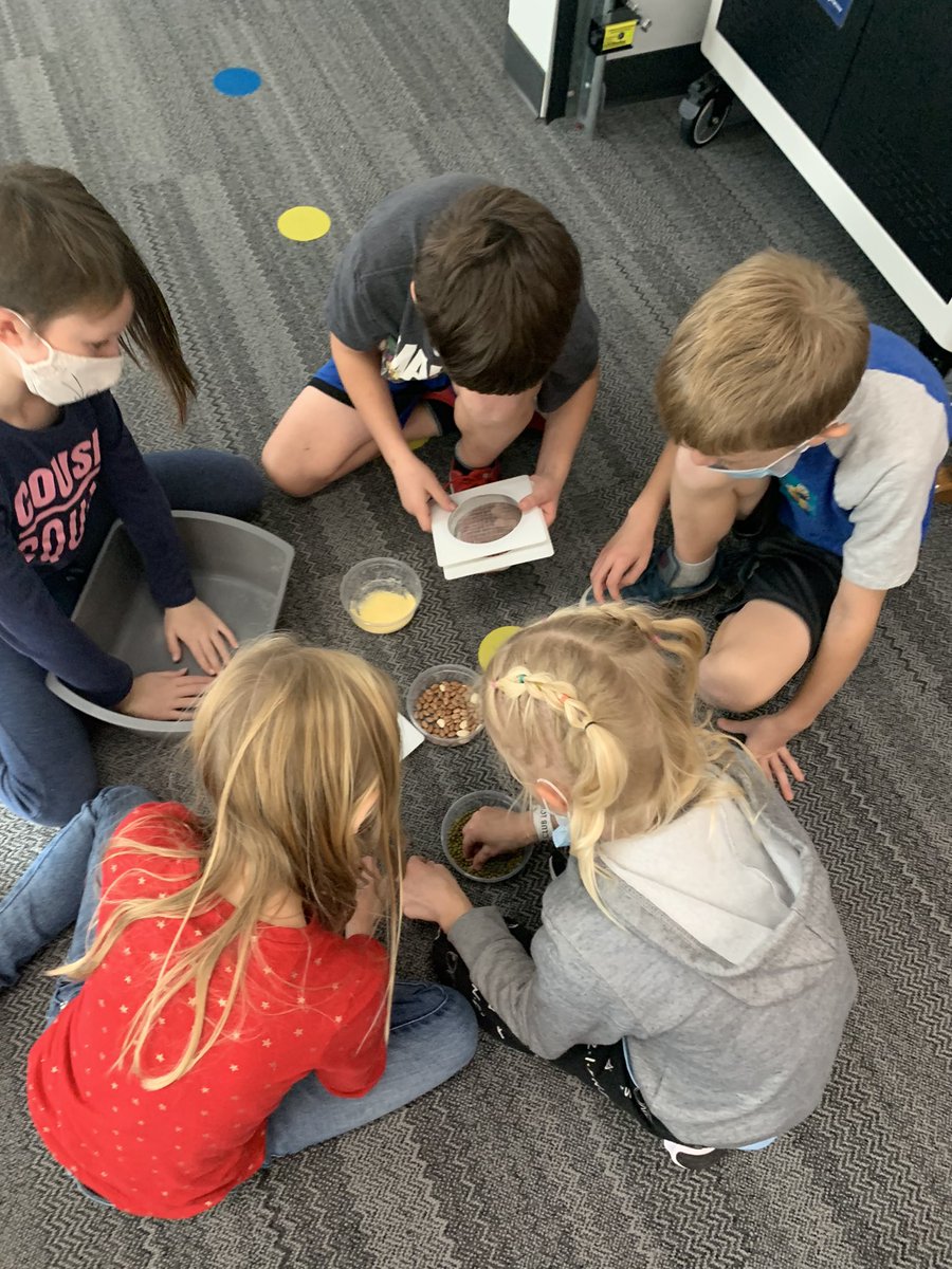 Taylor Wilken tweet media