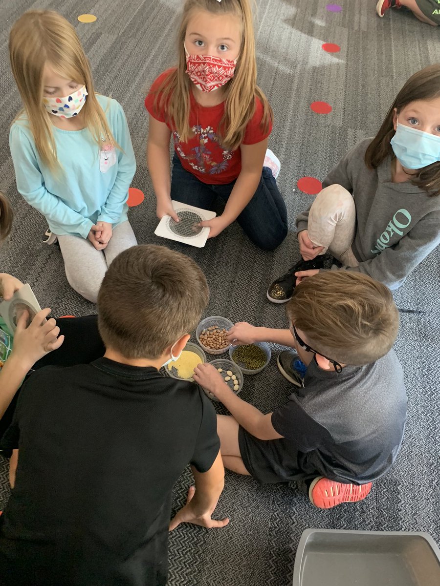 Taylor Wilken tweet media