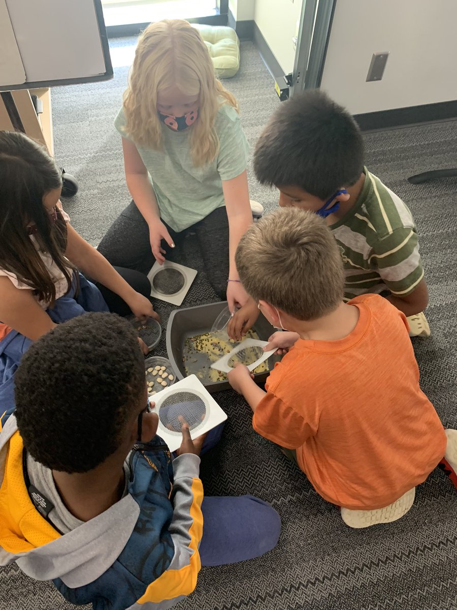Taylor Wilken tweet media
