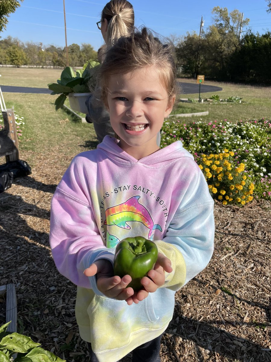 pinkPTO's tweet photo. Gorgeous day for a 13lb harvest and compost class! Nothing but smiles from these learners! Thank you @PinkyReads and @CISDFarmerLarry ! @CISDNutrition @MrsZ_Pinkerton @pinkkhaverstick @pinkgraves @PinkertonCISD https://t.co/36US3AF45u