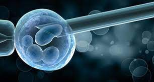 myCryoStork's tweet photo. Great news! Australian families who carry serious genetic, mitochondrial or chromosomal disorders are now able to reclaim the cost of preimplantation genetic testing (PGT), as well as IVF. Read More: https://t.co/sfXcMQRHjc  #IVF #TTC #IVFJourney https://t.co/r6kHODFZ2h