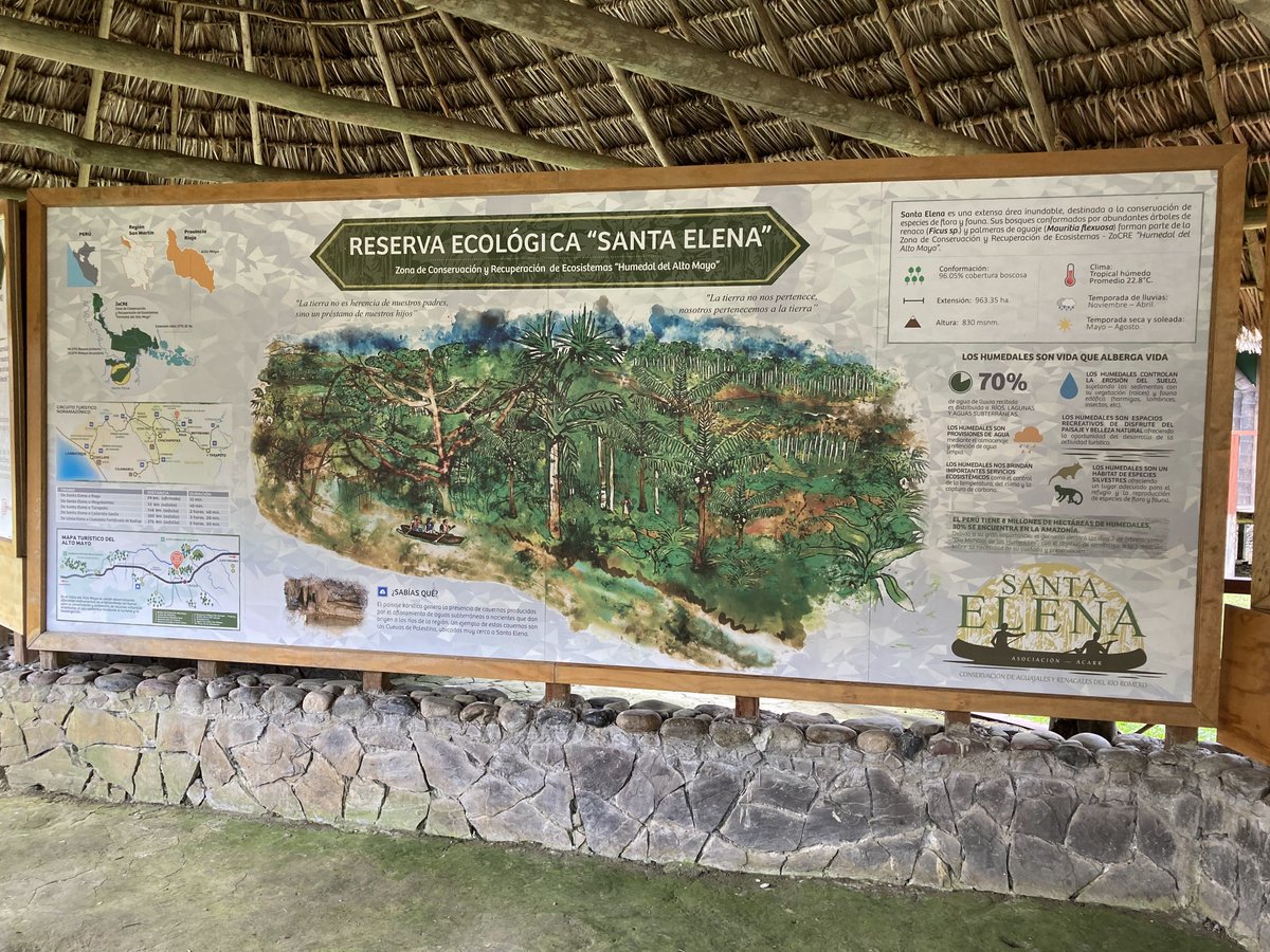 ComConsInc's tweet photo. Teri visited the successful (#communitymanaged!) Santa Elena Ecological Reserve in Peru. It was great to see this example of what's possible! It provides great habitat for #Peruviansquirrelmonkey #redhowlermonkey #largeheadedcapuchin and other species. https://t.co/V5UyWoIXQV