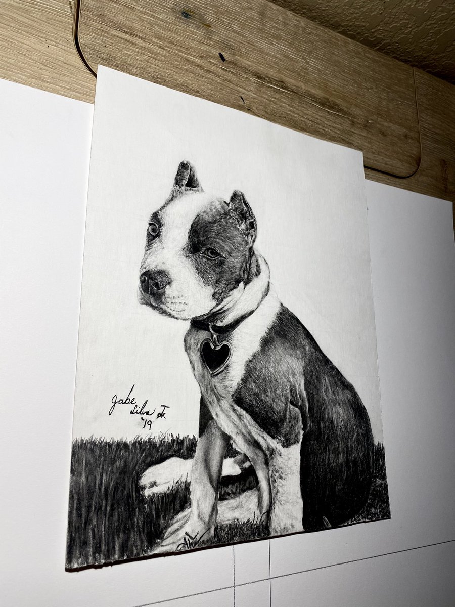 GabeSilvaaa's tweet photo. Drawing I did for a friend of his puppy! ✍️ Message me if you would be interested in a custom portrait of your pet! 🐾 https://t.co/cgAU9mgEPA