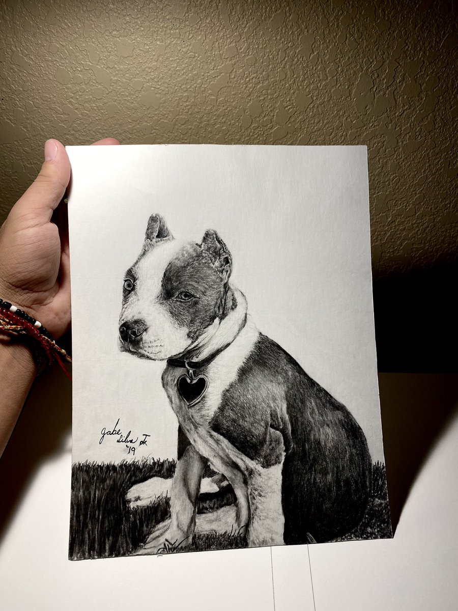 GabeSilvaaa's tweet photo. Drawing I did for a friend of his puppy! ✍️ Message me if you would be interested in a custom portrait of your pet! 🐾 https://t.co/cgAU9mgEPA