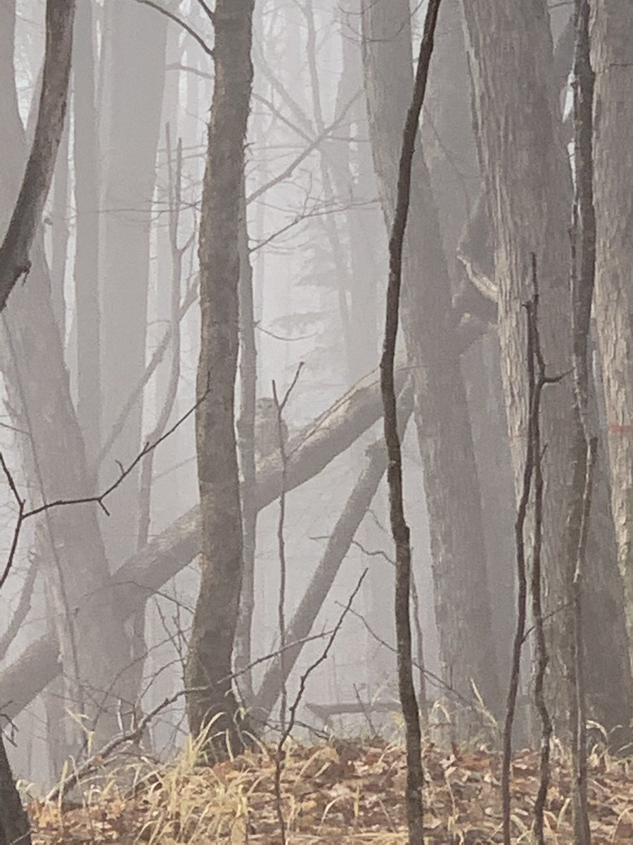 Had eyes on me this morning