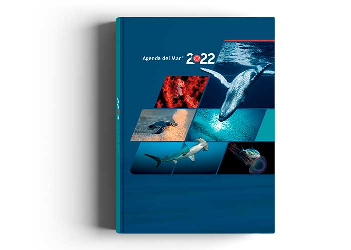 LaAgendadelMar's tweet photo. Esta edición de la Agenda del Mar viene cargada de sorpresas🌊🦀

¡Un regalo para apoyar la conservación de los océanos!.
Sorpréndete en su contenido entretenido y realiza una travesía por sus páginas llenas de inspiración. 

Comprala YA en el 318 344 2072 y (604) 444 2024 📞 https://t.co/J0rwAcixld