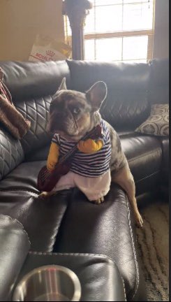 <a href="/BAYC2745/">voltura.eth</a>