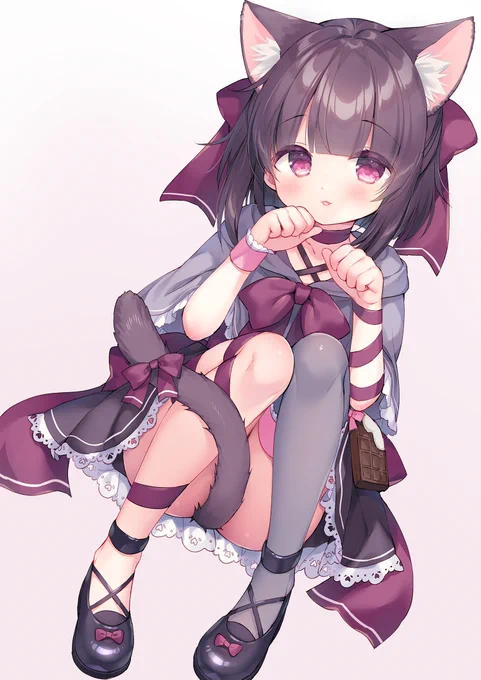 🍫🐱 
