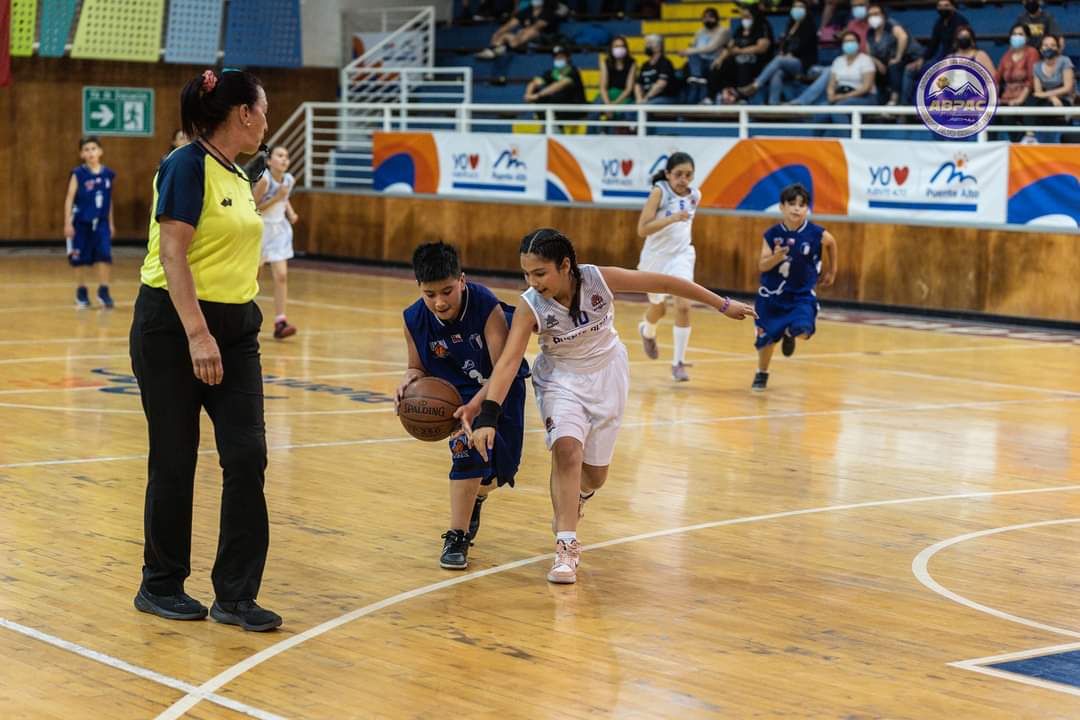 Asoc.cordillera Palt tweet media